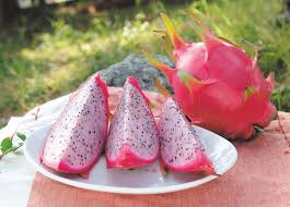 f:id:cy03:20170725110956j:plain f:id:cy03:20170725110956j:plain