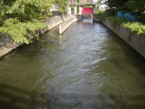 f:id:cyaginuma:20110916233959j:image:left