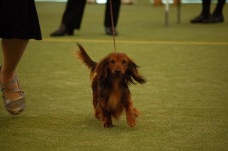 f:id:cyakomama:20090307101552j:image