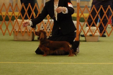 f:id:cyakomama:20090307102032j:image