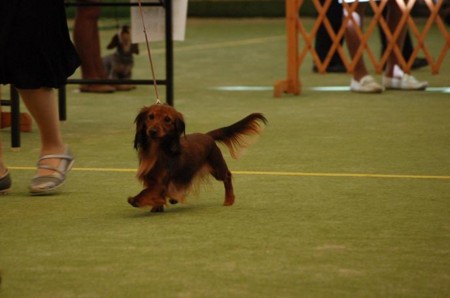 f:id:cyakomama:20090307102203j:image