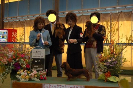 f:id:cyakomama:20090307140641j:image
