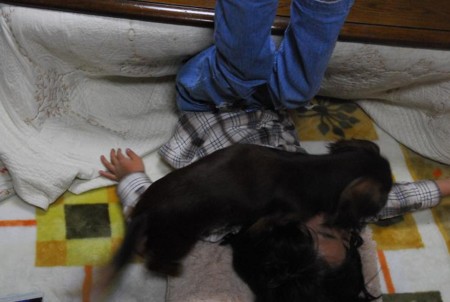 f:id:cyakomama:20091225171656j:image