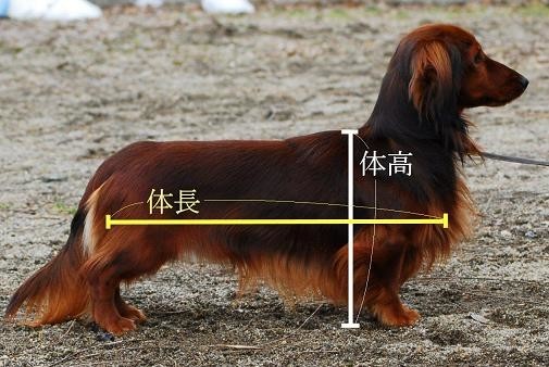 f:id:cyakomama:20110307085454j:plain f:id:cyakomama:20110307085454j:plain