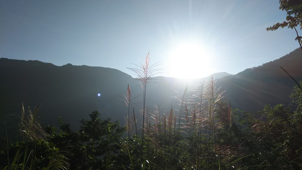 f:id:cyakorin:20170905190236j:plain f:id:cyakorin:20170905190236j:plain