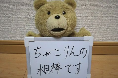 f:id:cyakorin:20180315213642j:plain