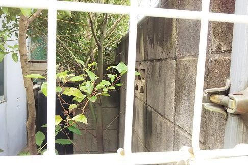 f:id:cyakorin:20180627134429j:plain