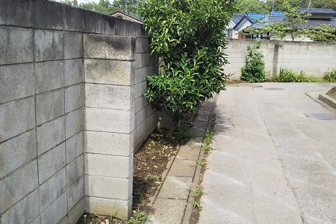 f:id:cyakorin:20180627134455j:plain