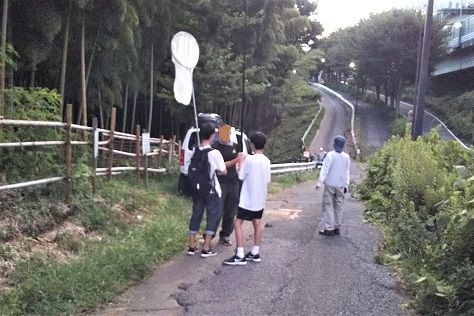 f:id:cyakorin:20180814115726j:plain f:id:cyakorin:20180814115726j:plain