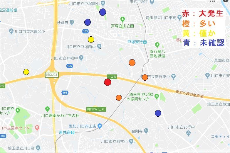 f:id:cyakorin:20180815210206j:plain f:id:cyakorin:20180815210206j:plain