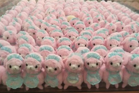 f:id:cyakorin:20181003113711j:plain f:id:cyakorin:20181003113711j:plain