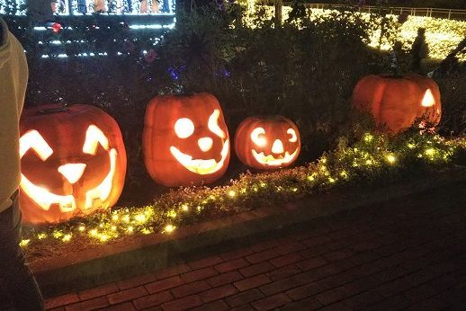 f:id:cyakorin:20181023133957j:plain