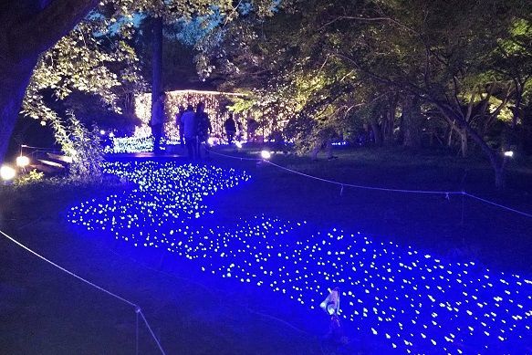 f:id:cyakorin:20181023134200j:plain