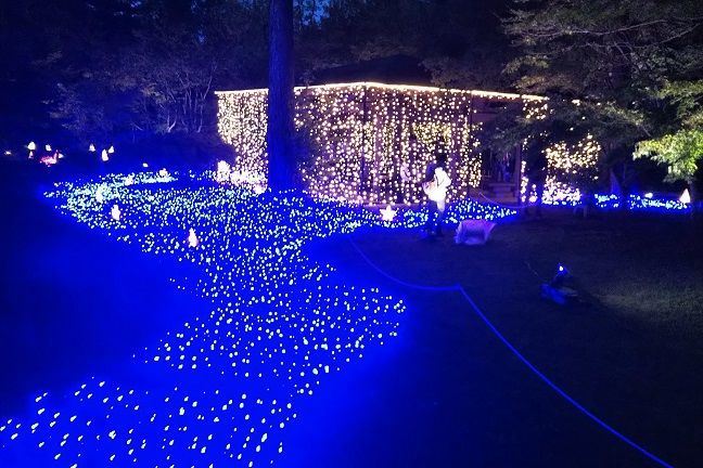 f:id:cyakorin:20181023134208j:plain