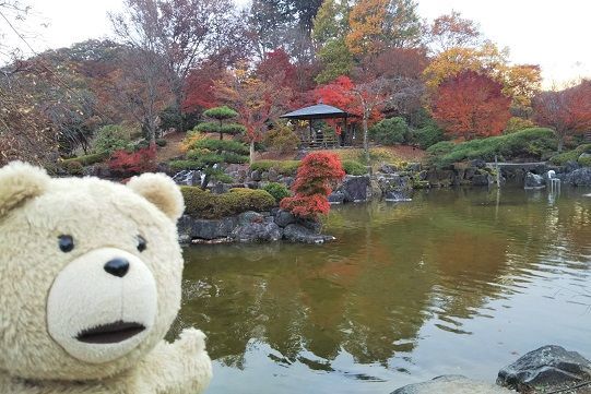 f:id:cyakorin:20181209001241j:plain