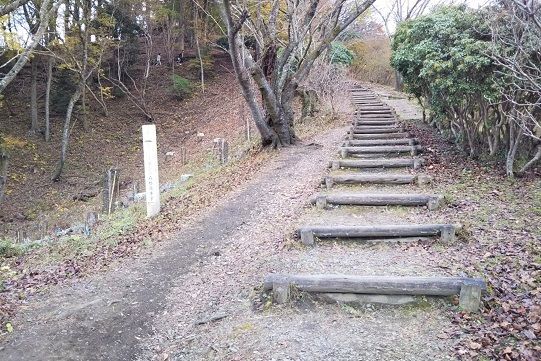 f:id:cyakorin:20181209001343j:plain