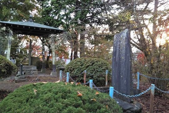 f:id:cyakorin:20181209001356j:plain