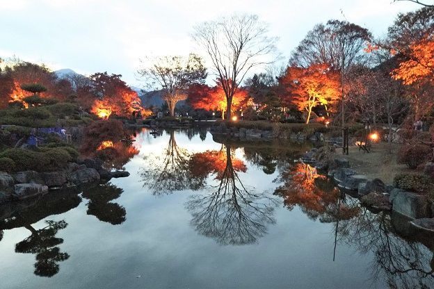 f:id:cyakorin:20181209001424j:plain