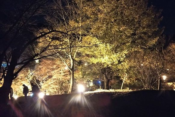 f:id:cyakorin:20181209001451j:plain