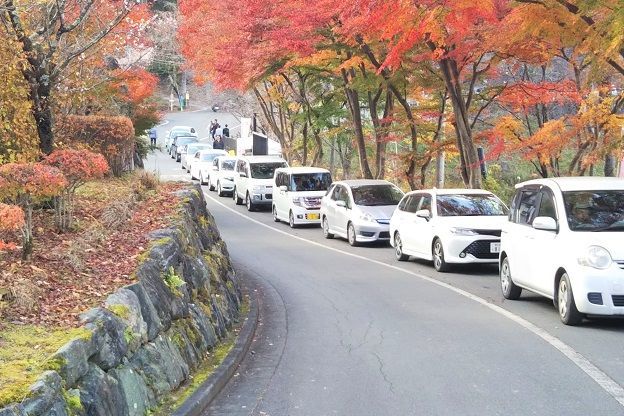 f:id:cyakorin:20181209001523j:plain