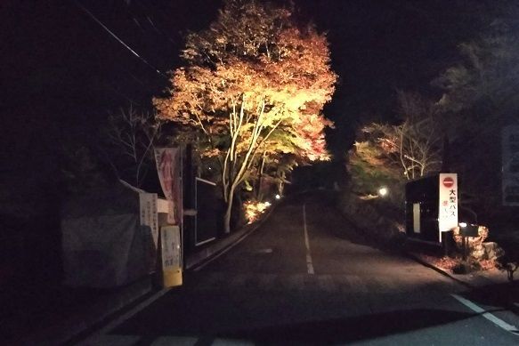 f:id:cyakorin:20181209001721j:plain