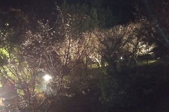 f:id:cyakorin:20181209001735j:plain