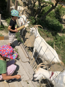 A272550C-3987-4951-8339-A45FDE421A93.jpg