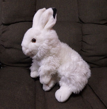 f:id:cyancy:20160702143839j:plain f:id:cyancy:20160702143839j:plain