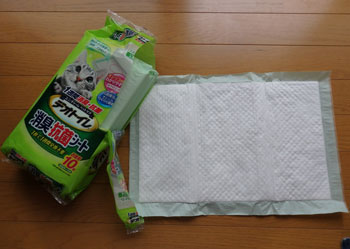 f:id:cyancy:20160702152059j:plain f:id:cyancy:20160702152059j:plain