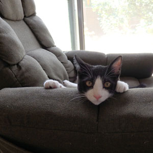 f:id:cyancy:20160918194248j:plain f:id:cyancy:20160918194248j:plain