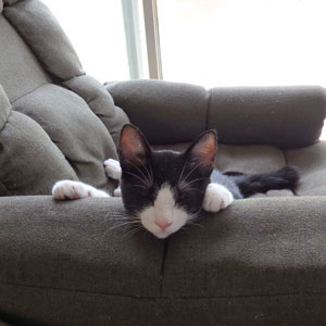 f:id:cyancy:20160918194252j:plain f:id:cyancy:20160918194252j:plain