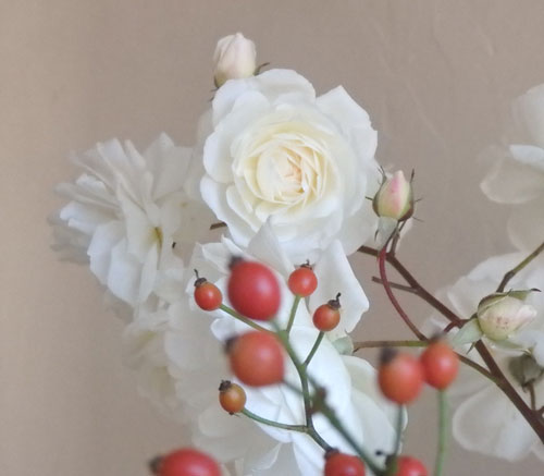 f:id:cyancy:20181209115926j:plain f:id:cyancy:20181209115926j:plain