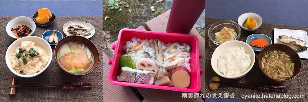 f:id:cyanite:20221029161925p:image f:id:cyanite:20221029161925p:image