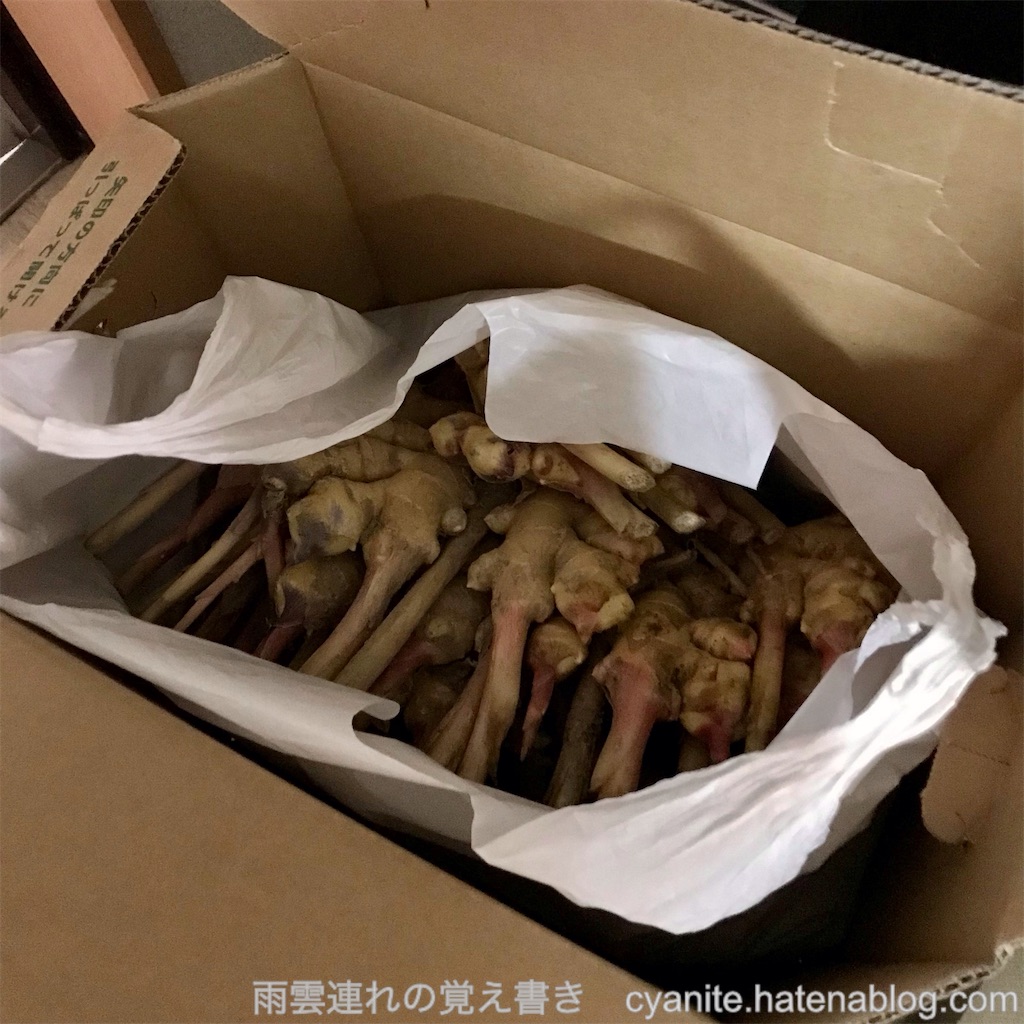 f:id:cyanite:20221119224020j:image