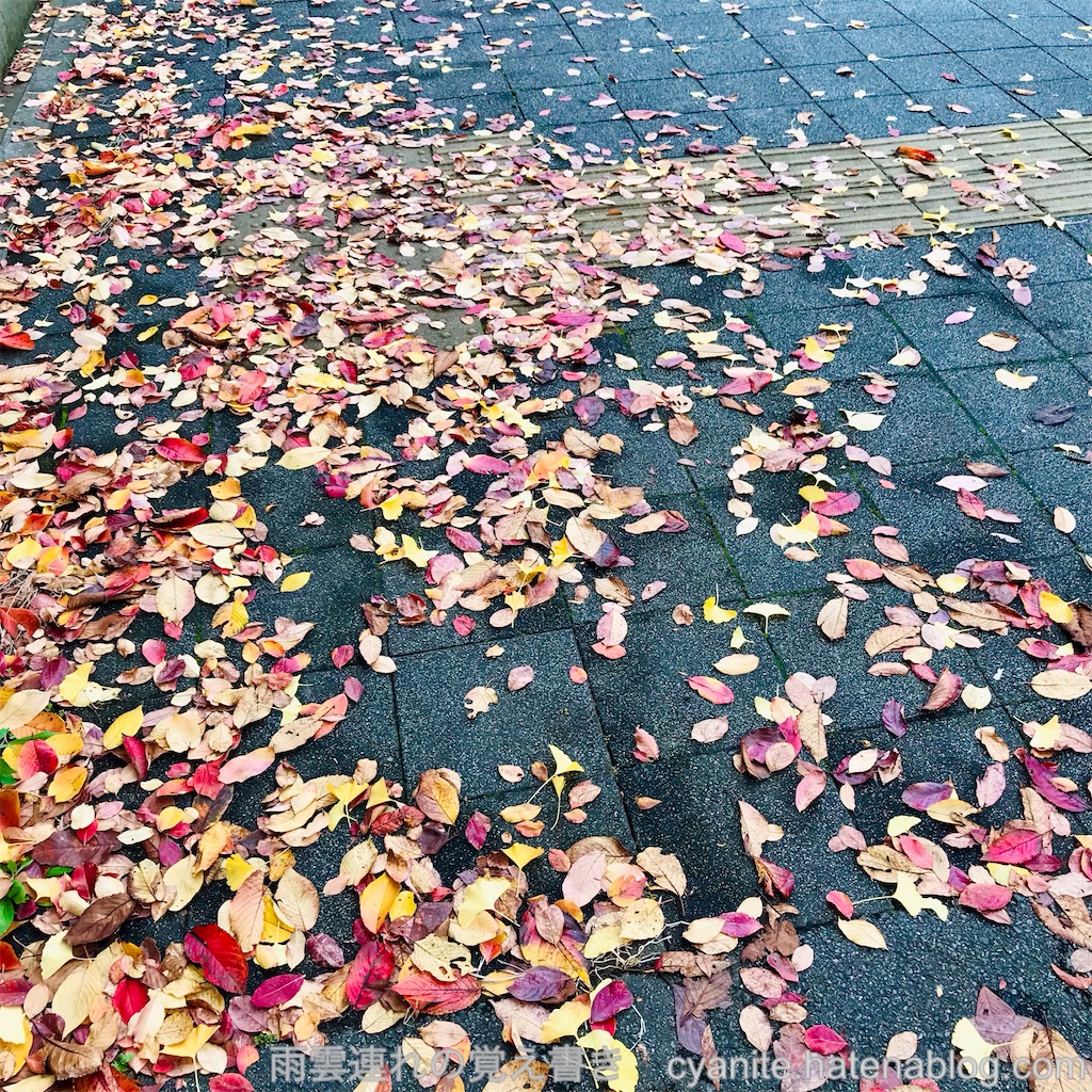 f:id:cyanite:20221204205911j:image