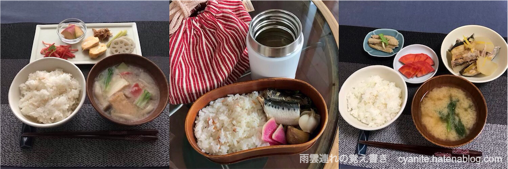 f:id:cyanite:20230129101557p:image