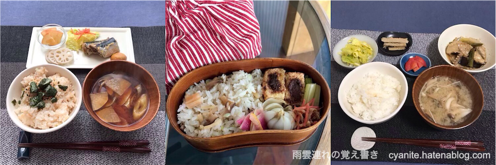 f:id:cyanite:20230129101658p:image