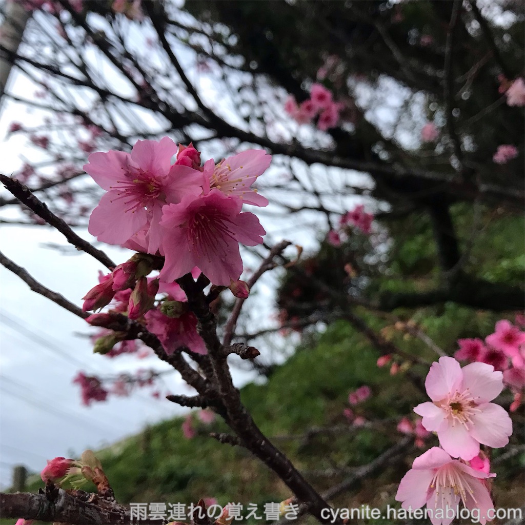 f:id:cyanite:20230219120840j:image