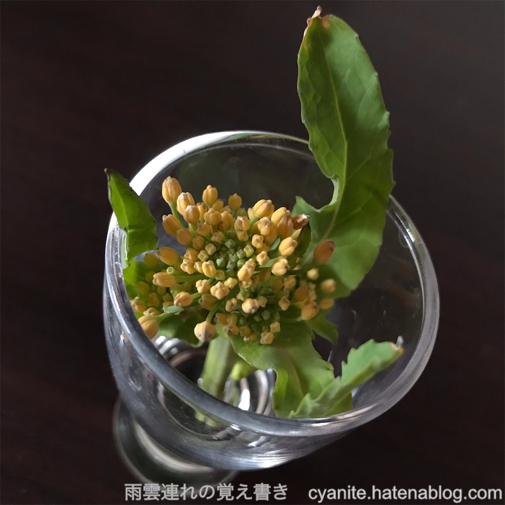 f:id:cyanite:20230226084034j:image