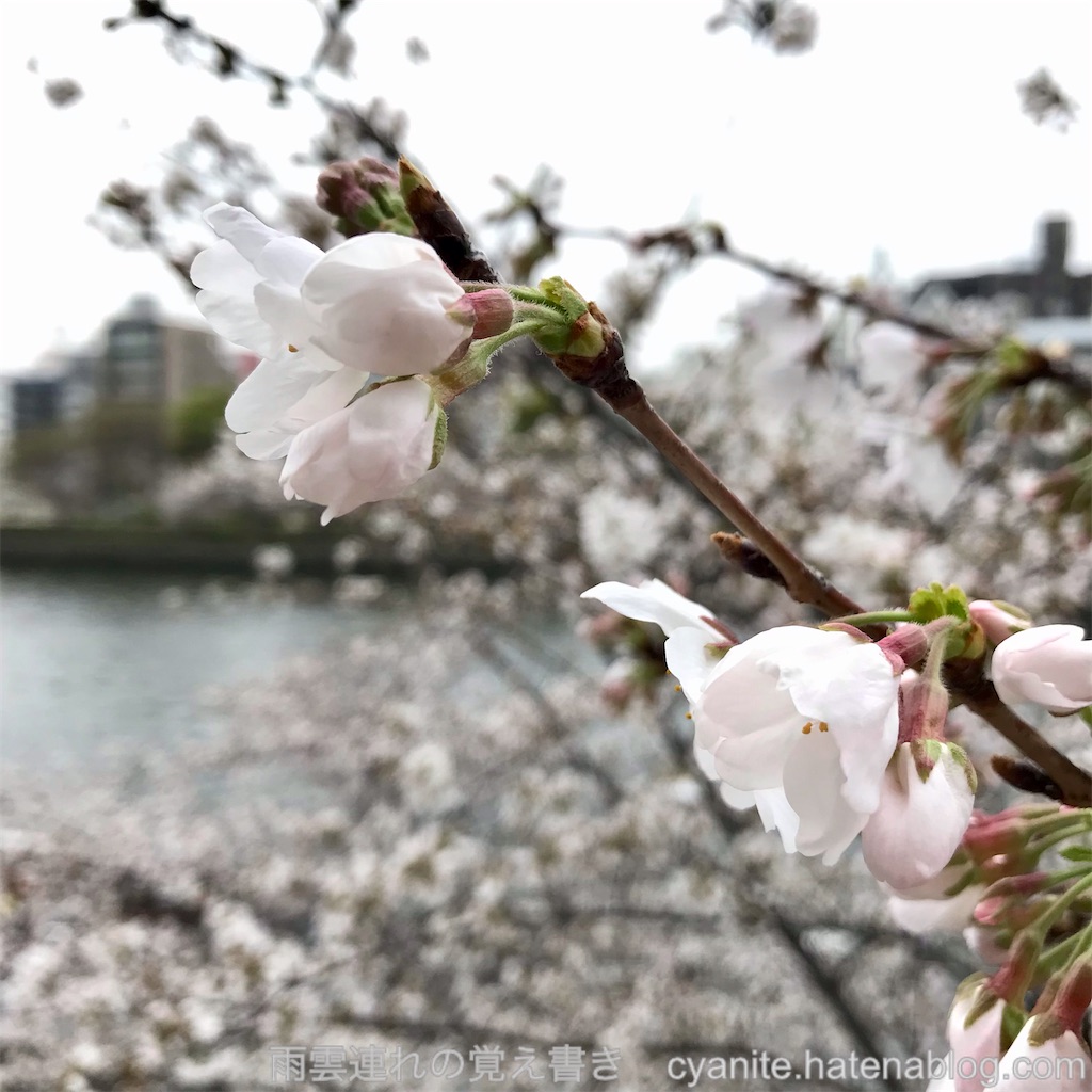 f:id:cyanite:20230325220325j:image