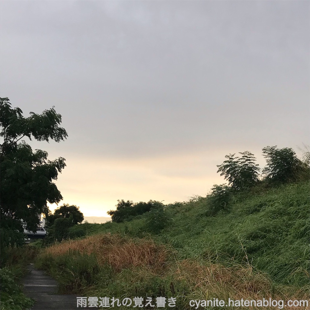 f:id:cyanite:20230824210600j:image f:id:cyanite:20230824210600j:image