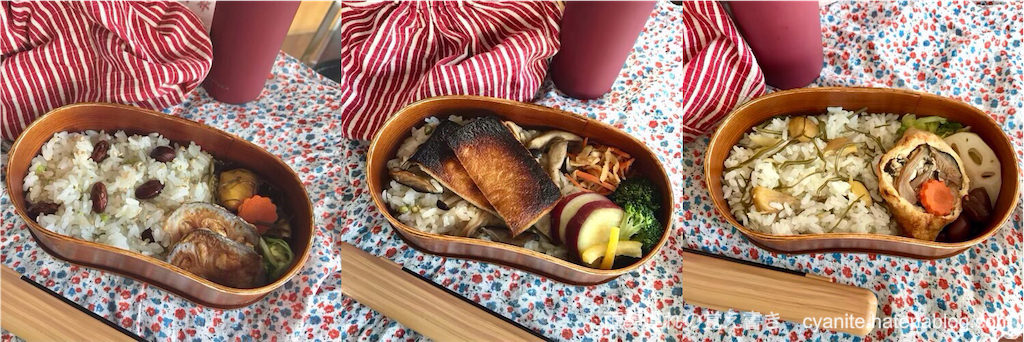 f:id:cyanite:20231118160544p:image f:id:cyanite:20231118160544p:image