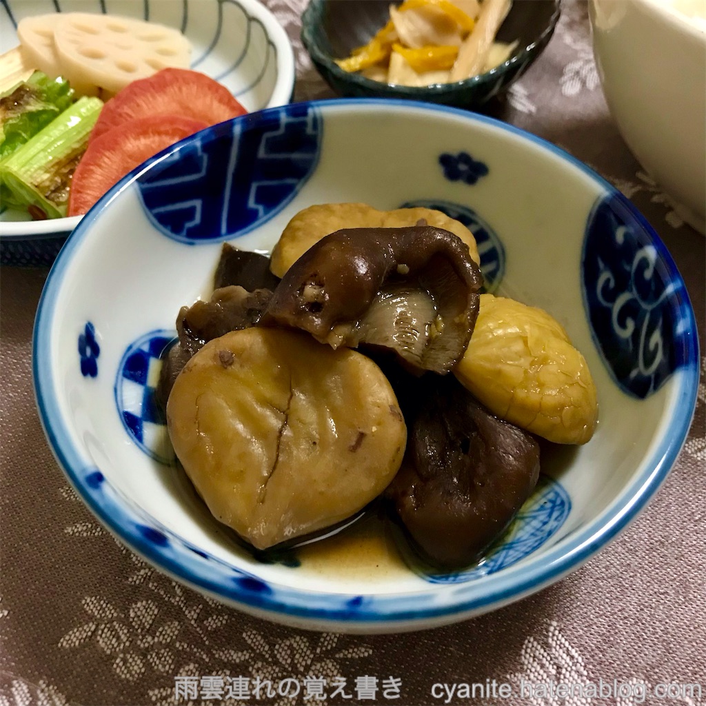 f:id:cyanite:20240120153459j:image f:id:cyanite:20240120153459j:image