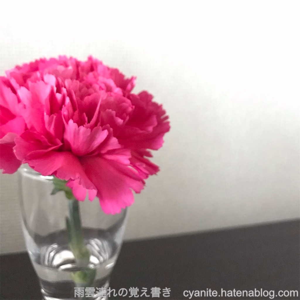 f:id:cyanite:20240511154556j:image