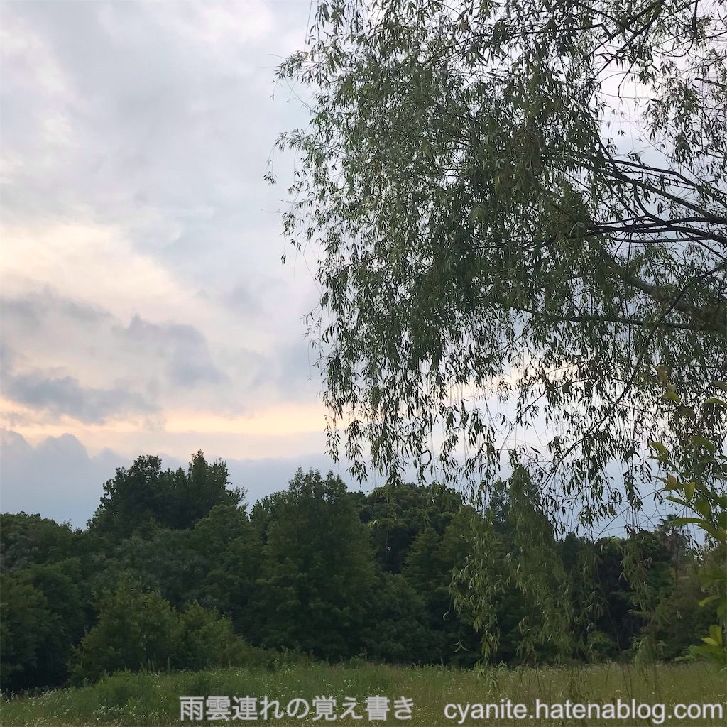 f:id:cyanite:20240525222450j:image