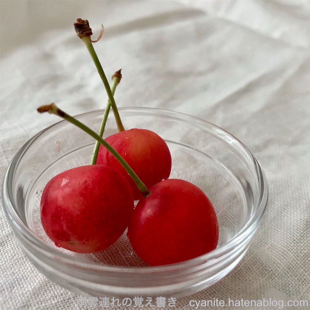 f:id:cyanite:20240616070149j:image