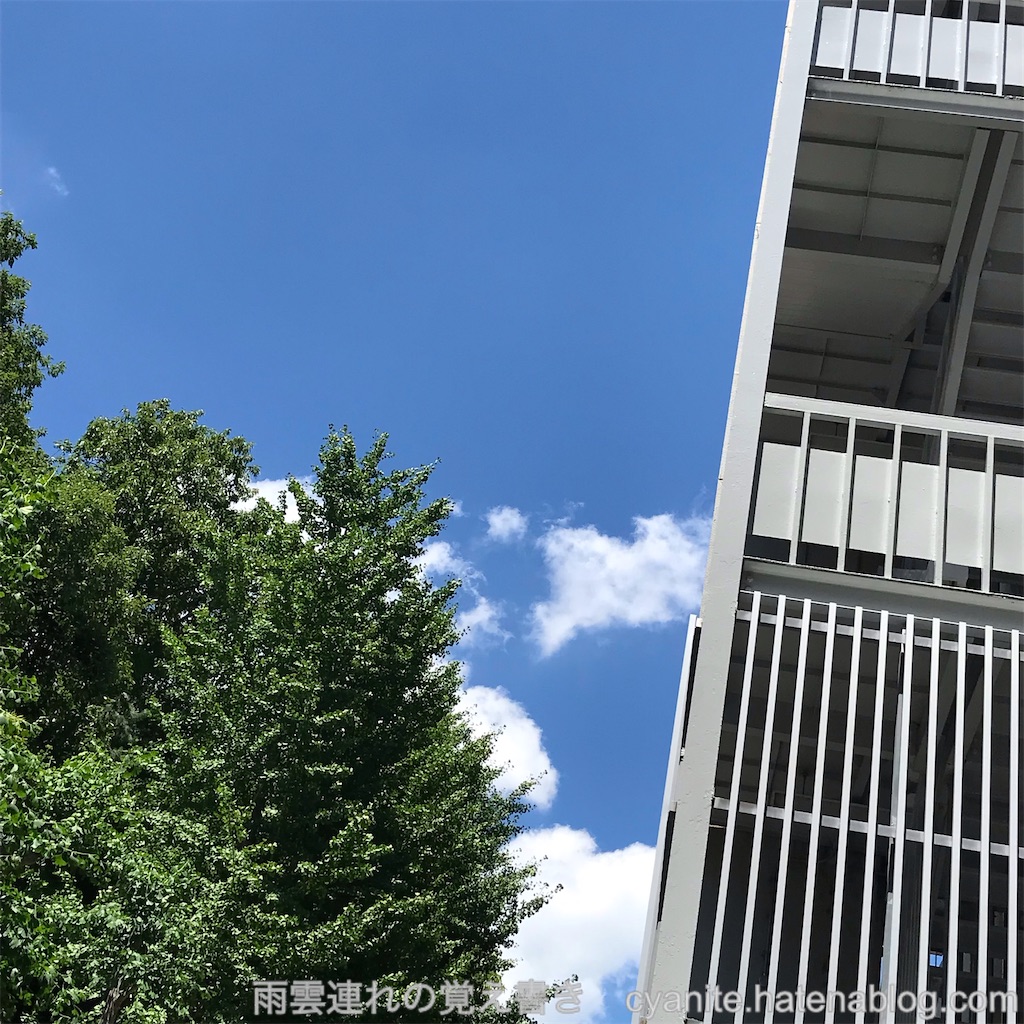 f:id:cyanite:20240705131045j:image