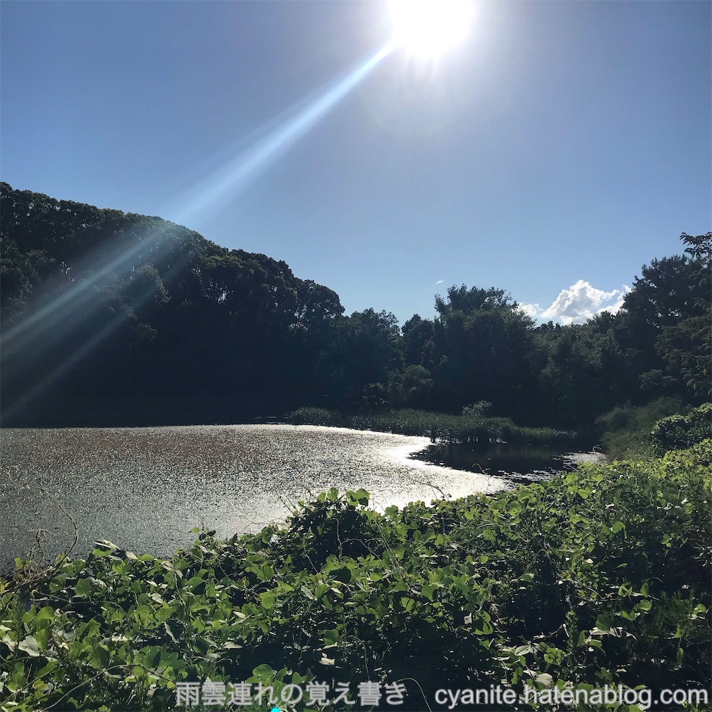 f:id:cyanite:20240823213401j:image