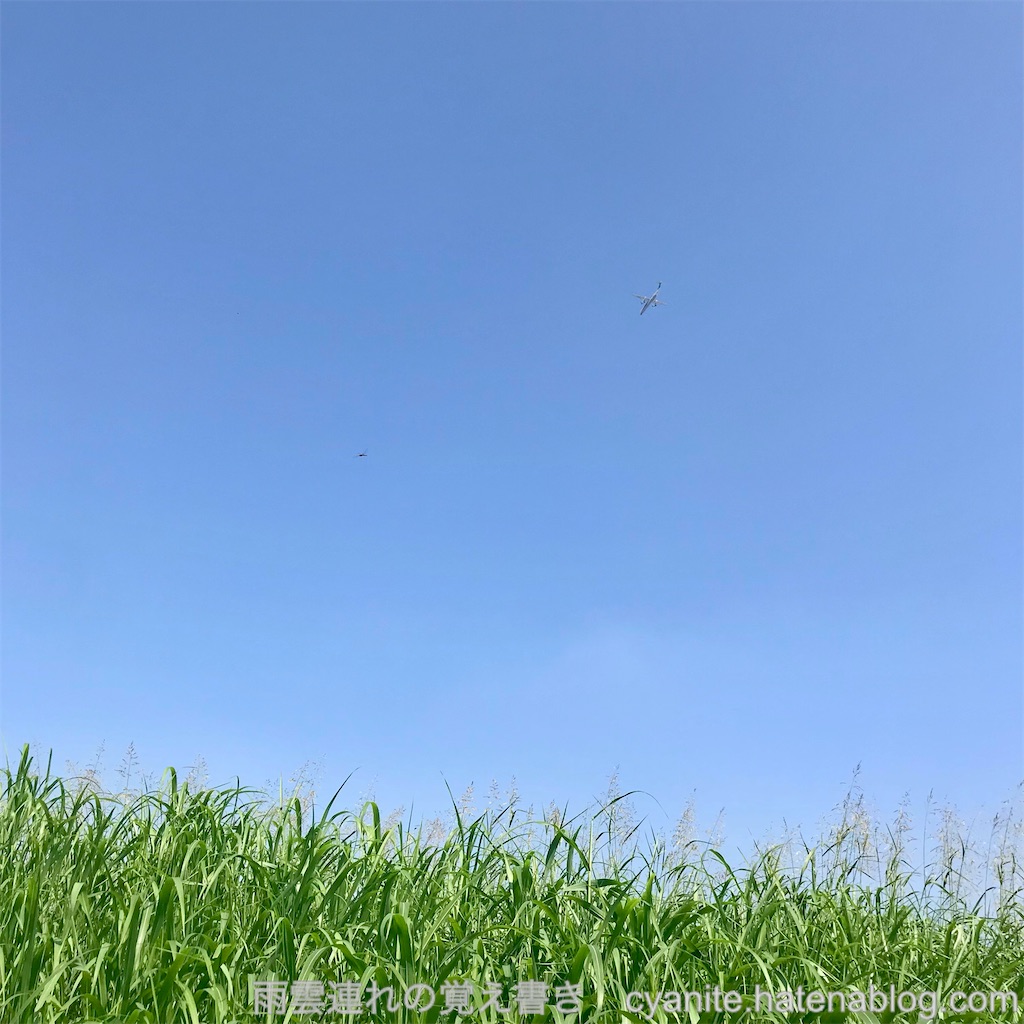 f:id:cyanite:20240907104217j:image