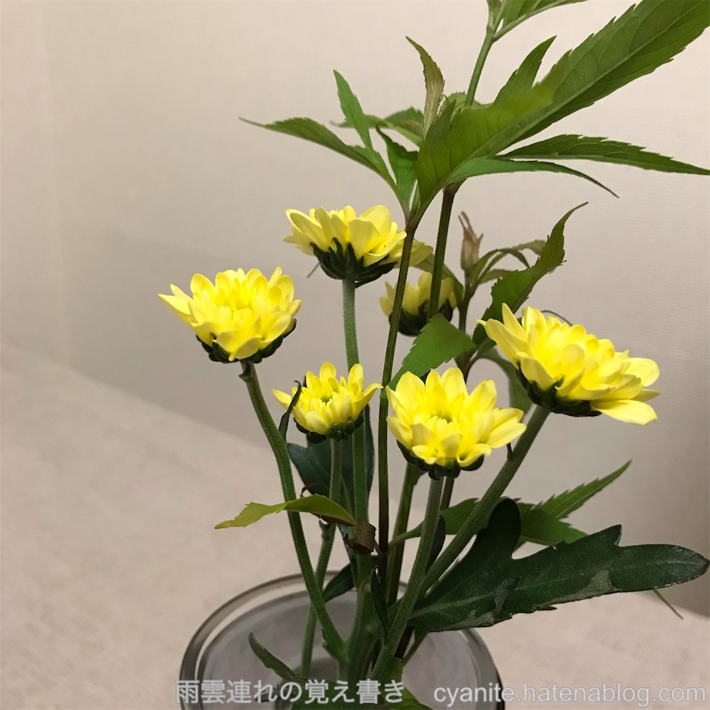 f:id:cyanite:20240916072317j:image